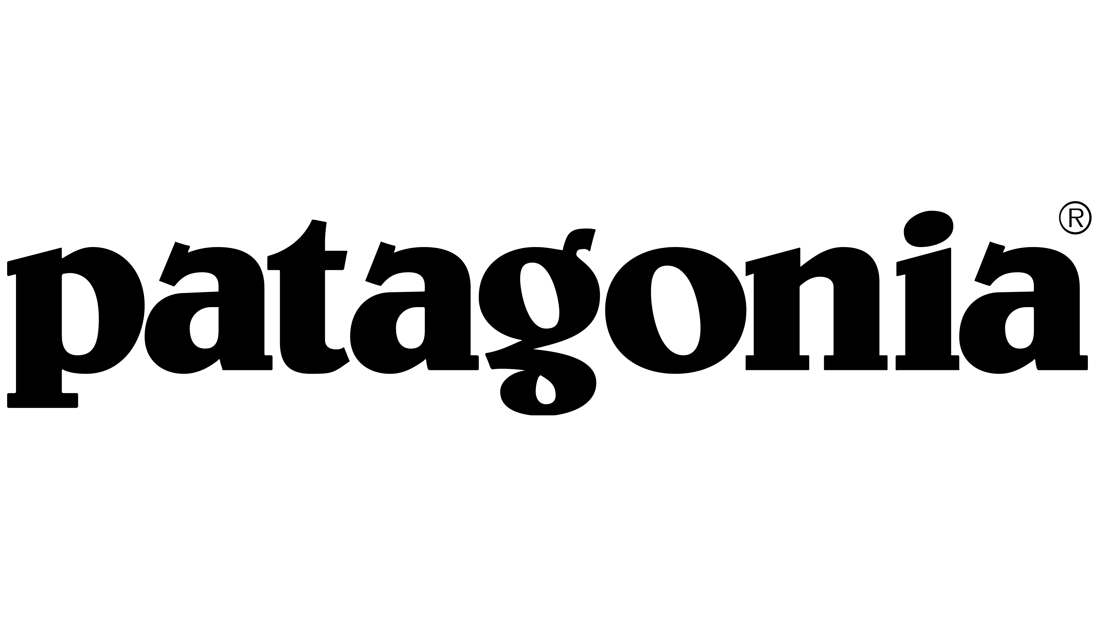 Patagonia's affiliate program hero image, one of the 20 winning affiliate marketing programs in 2024
